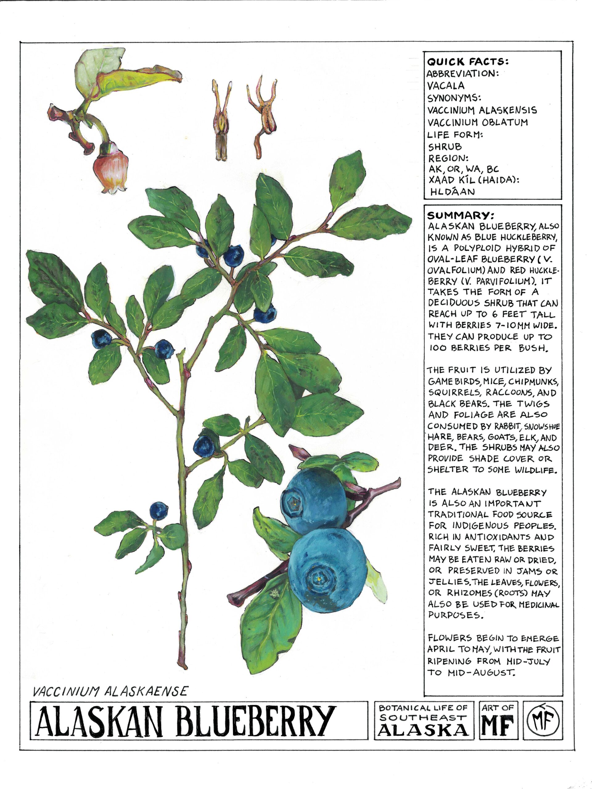 FLORA